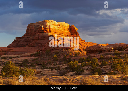 Dernière du soleil, les aiguilles, Canyonlands National Park, Utah, USA, Amérique Latine Banque D'Images