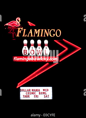 Signe de nuit bol flamingo Banque D'Images
