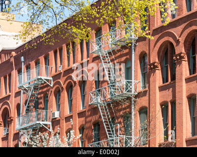 La façade de l'immeuble et les arbres en fleurs au printemps, Nolita, NYC, USA Banque D'Images
