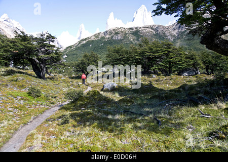 Homme randonnée au massif du Fitz Roy, El Chalten, Patagonie, Argentine Banque D'Images