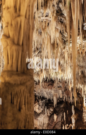 Les grottes de Castellana sont un système de grottes karstiques remarquables situé dans la municipalité de Castellana Grotte, Italie Banque D'Images