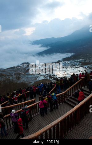 Duoyishu arrosé les rizières en terrasses à l'aube, Yuanyang, Yunnan, Chine Banque D'Images