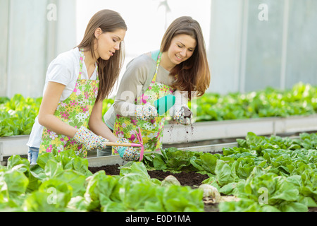 Les jeunes femmes dans le jardin Banque D'Images