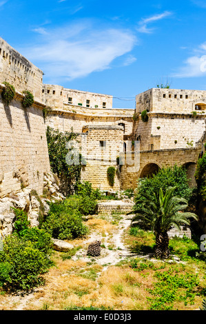 Envahi par un espace ouvert entre deux énormes murailles de la ville historique de Fort Saint Elmo qui a maintenant besoin de restauration significative Banque D'Images