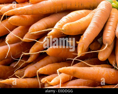 Carottes fraîches, photo symbolique pour l'alimentation, de la fraîcheur, de la nourriture saine, Frische Karotten, Symbolfoto für Lebensmittel, Frische, Gesund Banque D'Images