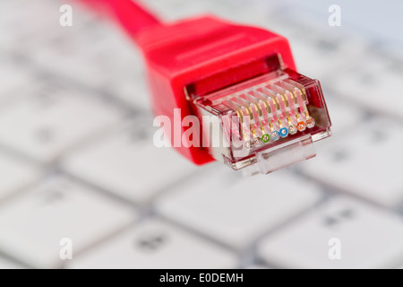 Un câble réseau rouge d'un ordinateur. Dans l'arrière-plan un ordinateur, Tastatue rotes Ein Netzwerk Kabel mit des ordinateurs. Im Hintergru Banque D'Images