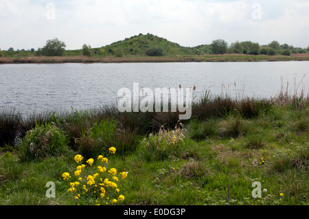 Lacs de la réserve RSPB Middleton, Warwickshire, England, UK Banque D'Images