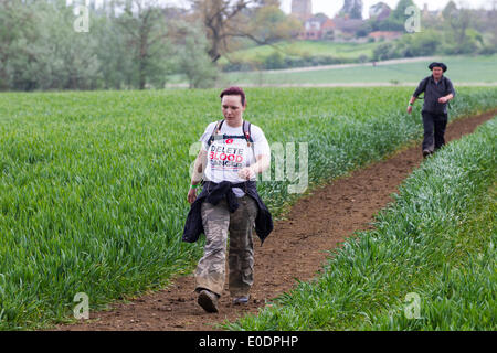 Castle Ashby, Northampton, UK . 10 mai, 2014. 35ème Marche internationale de Waendel. Approche du 21,7 km point de contrôle à la Green Castle Ashby Crédit : Keith J Smith./Alamy Live News Banque D'Images