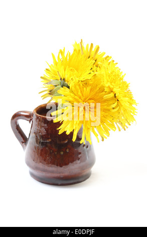 Bouquet de fleurs fraîches de pissenlit jaune brun en vase. Isolé sur fond blanc Banque D'Images