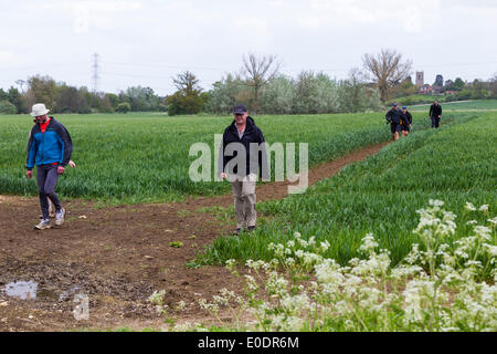 Castle Ashby, Northampton, UK . 10 mai, 2014. 35ème Marche internationale de Waendel. Approche du 21,7 km point de contrôle à la Green Castle Ashby Crédit : Keith J Smith./Alamy Live News Banque D'Images