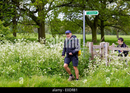 Castle Ashby, Northampton, UK . 10 mai, 2014. 35ème Marche internationale de Waendel. Approche du 21,7 km point de contrôle à la Green Castle Ashby Crédit : Keith J Smith./Alamy Live News Banque D'Images