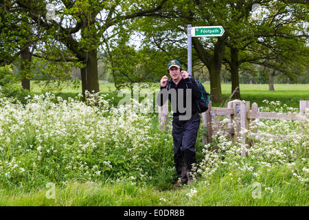 Castle Ashby, Northampton, UK . 10 mai, 2014. 35ème Marche internationale de Waendel. Approche du 21,7 km point de contrôle à la Green Castle Ashby Crédit : Keith J Smith./Alamy Live News Banque D'Images