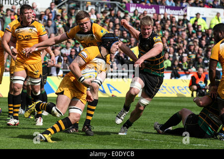 Northampton, Royaume-Uni. 10 mai, 2014. Guy THOMPSON de guêpes sur la balle au cours de l'Aviva Premiership match entre les Tonga et les Wasps à Franklins Gardens. Credit : Action Plus Sport/Alamy Live News Banque D'Images