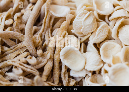 Plan macro sur deux différents types de pâtes faites en Pouilles : Orecchiette et trofie Banque D'Images