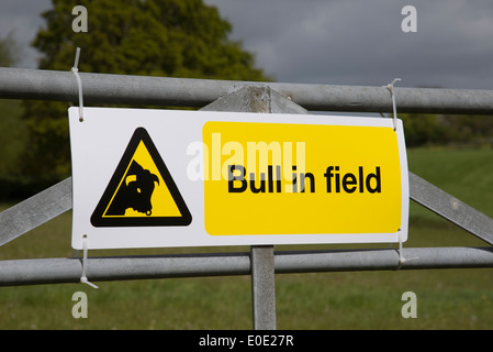 Bull en signe d'avertissement sur le terrain joint à la ferme England UK Banque D'Images