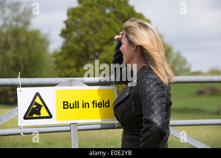 Femme à la plus ferme avec Bull en signe de terrain Hampshire England UK Banque D'Images