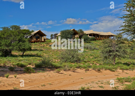 Polentswa Tented Camp, Kgalagadi Transfrontier Park, Kalahari, Afrique du Sud, Botswana, Africa Banque D'Images