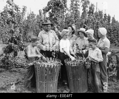 Ernst Famille à Horst Hop Ranch, 1946 Banque D'Images