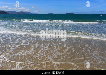 Plage de la forêt côtière de l'Atlantique en bateau l'île de Florianópolis Brésil Oiseaux Moleques do Sul Praia dos Açores Santa Catarina Seagull Sout Banque D'Images