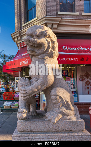 L'un des lions de pierre gardant l'entrée de Chinatown à Victoria, île de Vancouver, Colombie-Britannique, Canada Banque D'Images