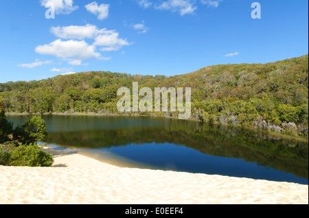 Lake Wabby, Fraser Island, Queensland, Queensland, Australie Banque D'Images