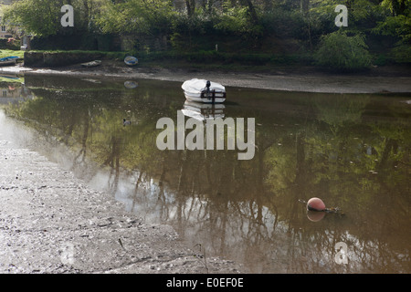 Un matin brumeux au village de Cornouailles Lerryn à marée basse sur la rivière à marées, avec le reflet dans l'eau d'un bateau. Banque D'Images