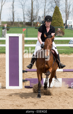 Woman riding bay horse plus aller à l'école locale horse show. Banque D'Images