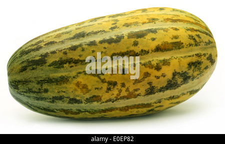 Mushkmelon fraîche sur fond blanc Banque D'Images