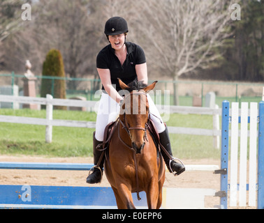 Woman riding bay horse plus aller à l'école locale horse show. Banque D'Images