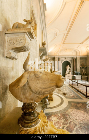 La salle d'animaux, les Musées du Vatican, Vatican, Rome, Italie Europe Banque D'Images