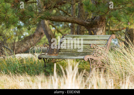 Vieux banc en acier dans la nature néerlandaise, Ameland Banque D'Images