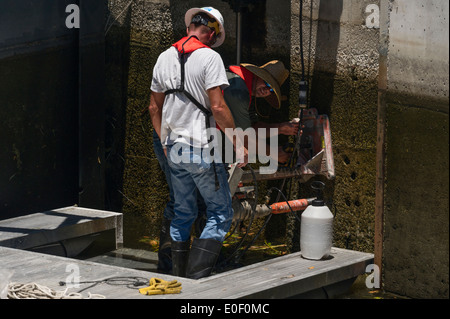 Deux hommes au carottage béton à l'écluse et barrage de navigation Burrell à Leesburg, en Floride, afin de tester les échantillons pour la force. Banque D'Images