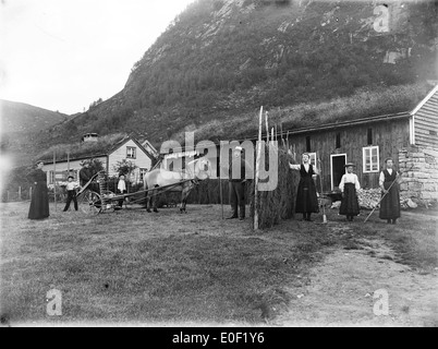 Ferme, la Norvège de l'ouest ca. 1890-1910. Banque D'Images