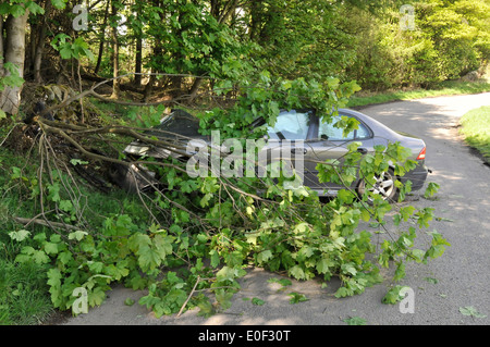 Accident de voiture avec un arbre Banque D'Images