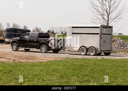 Ford F150 pick up truck stock gris tirant une remorque chevaux Banque D'Images