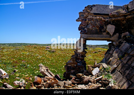 Ruine d'un bâtiment dans une prairie avec des fleurs près de Pedra da Atalaia dans l'Algarve, Portugal Banque D'Images