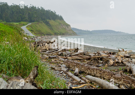 Bluffs à l'océan et de la plage sur l'île de Whidbey, l'État de Washington, États-Unis d'Amérique Banque D'Images