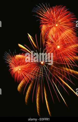 Irework explosifs pyrotechniques fireworks événement haut en couleur celecration la pyrotechnie spectacle Festival Québec, Canada Banque D'Images