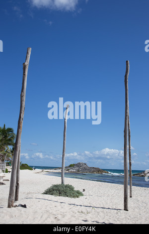Cinq branches en bois dans le sable en face de ciel bleu et l'océan avec des palmiers sur la gauche. Banque D'Images