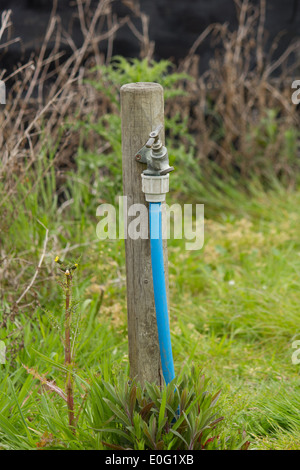 Metal tap sur un poste en bois avec un flexible bleu Banque D'Images