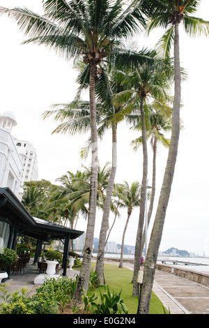 Tourné à l'extérieur de l'hôtel à Penang avec palmiers avec Gurney Drive dans l'arrière-plan. Banque D'Images