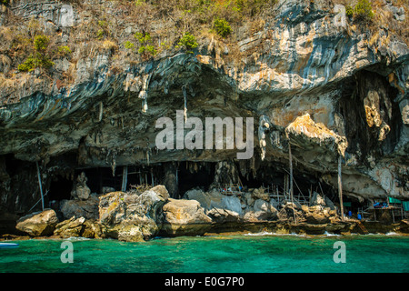 Viking cave où aucun nid d'sont recueillies. L'île de Phi-Phi Leh à Krabi, Thaïlande. Banque D'Images