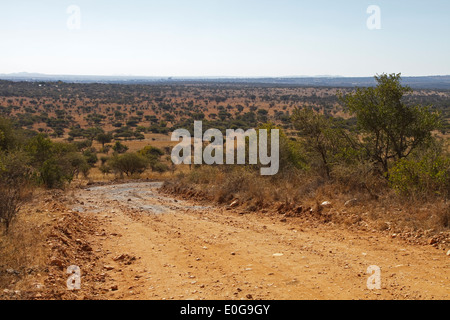 Vue sur Polokwane game reserve, Limpopo, Afrique du Sud Banque D'Images