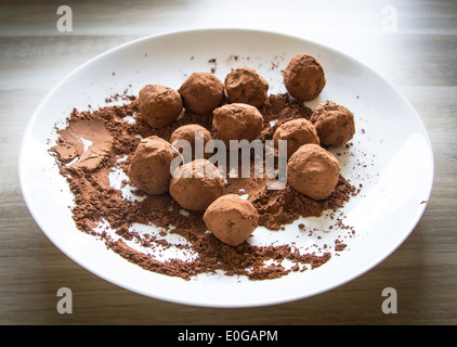 Truffes au chocolat maison dans la poudre de cacao on white plate Banque D'Images