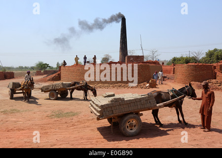 Les charrettes à ânes obtenir déchargé des briques dans un four en briques d'une briqueterie, Lahore, Punjab, Pakistan, Asie Banque D'Images