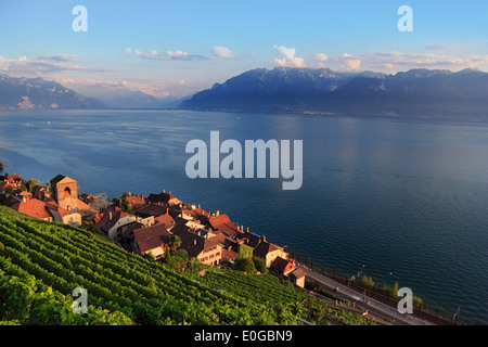 Vue sur les vignes et le lac Léman, à Saint-Saphorin Lavaux, Canton de Vaud, Suisse Banque D'Images