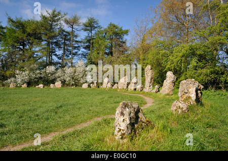 Une partie des rois hommes cercle de pierres néolithiques, Rollright Stones Banque D'Images