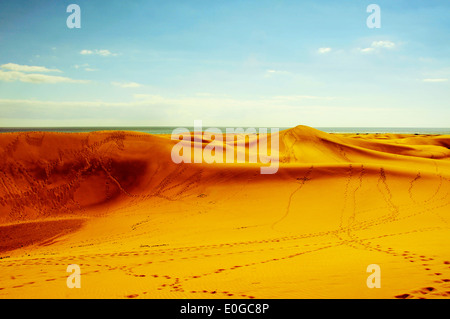 Vue de la Réserve Naturelle des Dunes de Maspalomas, à Gran Canaria, Îles Canaries, Espagne Banque D'Images