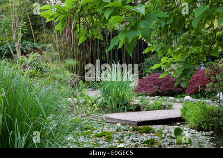 Avec l'étang de la forêt de bambou dans l'arrière-plan à Andre Jardin des Hellers, Giardino Botanico, Gardone Riviera, Lac de Garde, Lombardie, il Banque D'Images