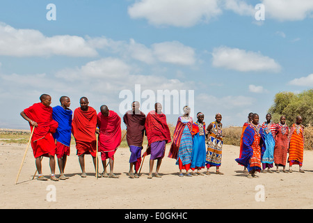 Maqasai personnes sautant et salle de danse. Amboseli, Kenya., Maqasai les gens sauter et danser. Amboseli Banque D'Images